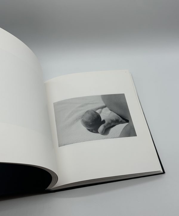 瞬間の山　形態創出と聖性