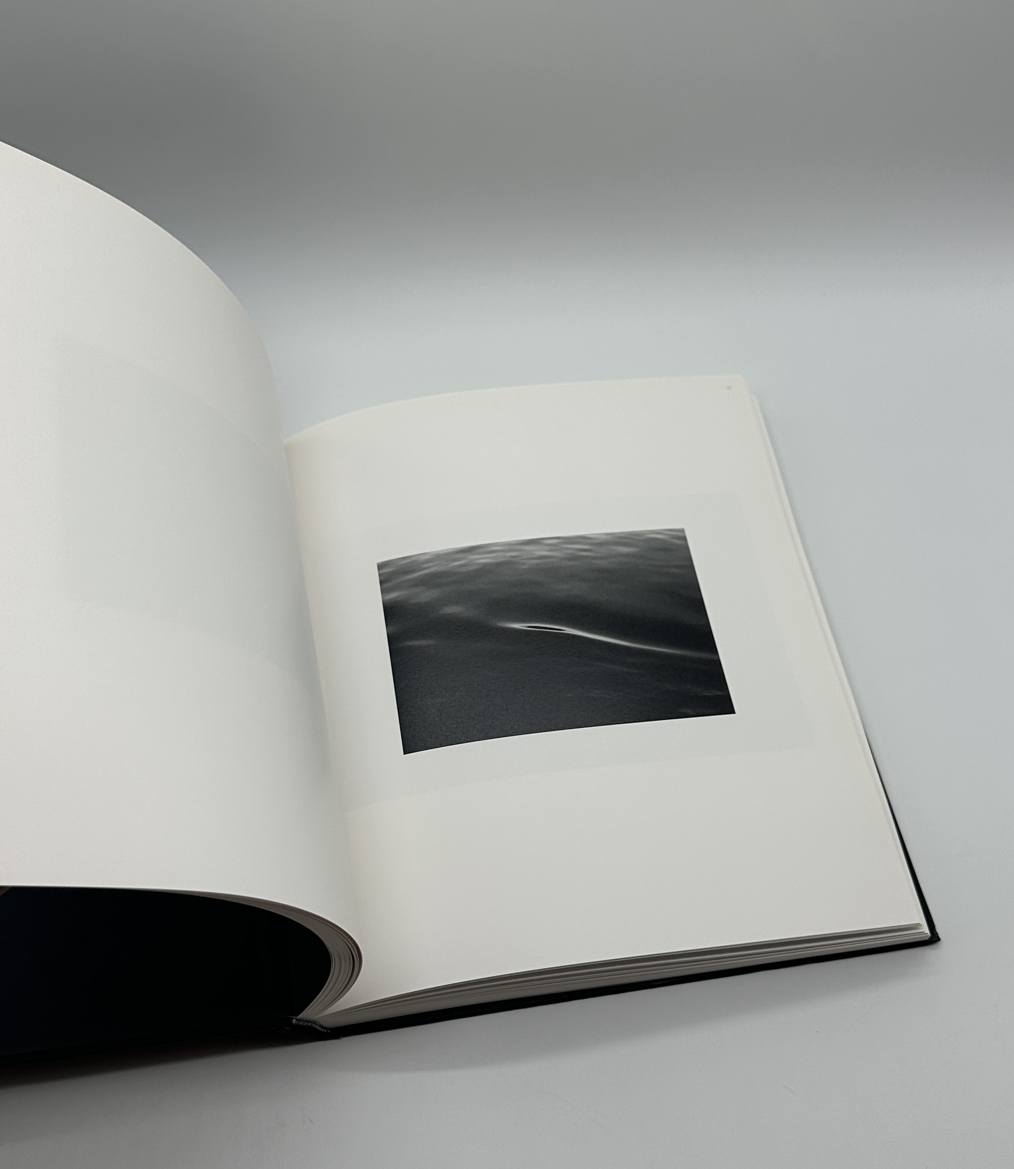 Photographs - 画像 (7)