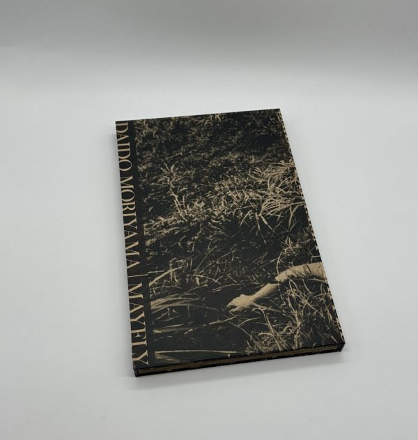 「署名入」MAYFLY　蜉蝣