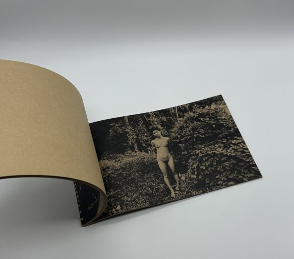 「署名入」MAYFLY　蜉蝣