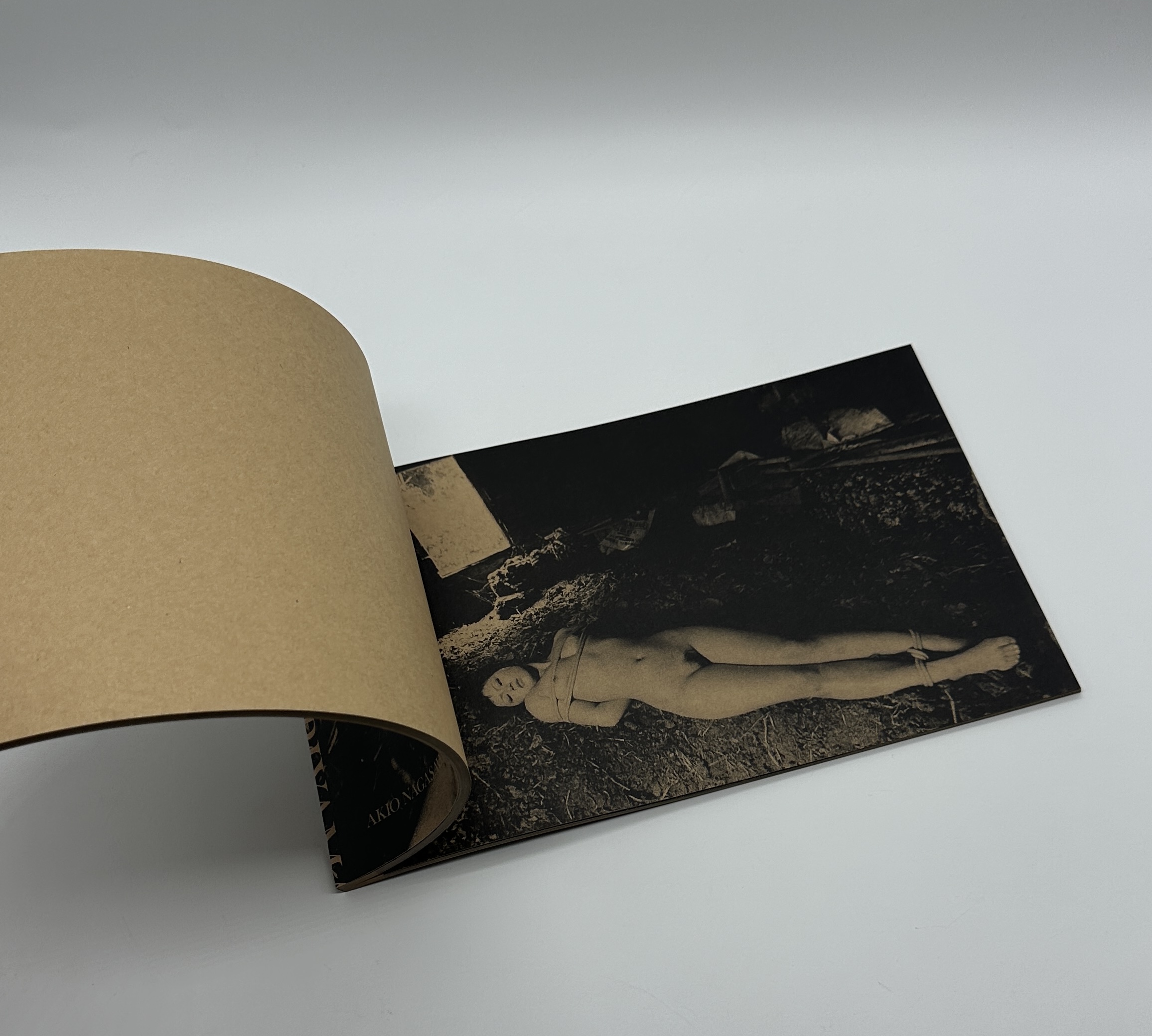 「署名入」MAYFLY　蜉蝣 - 画像 (10)