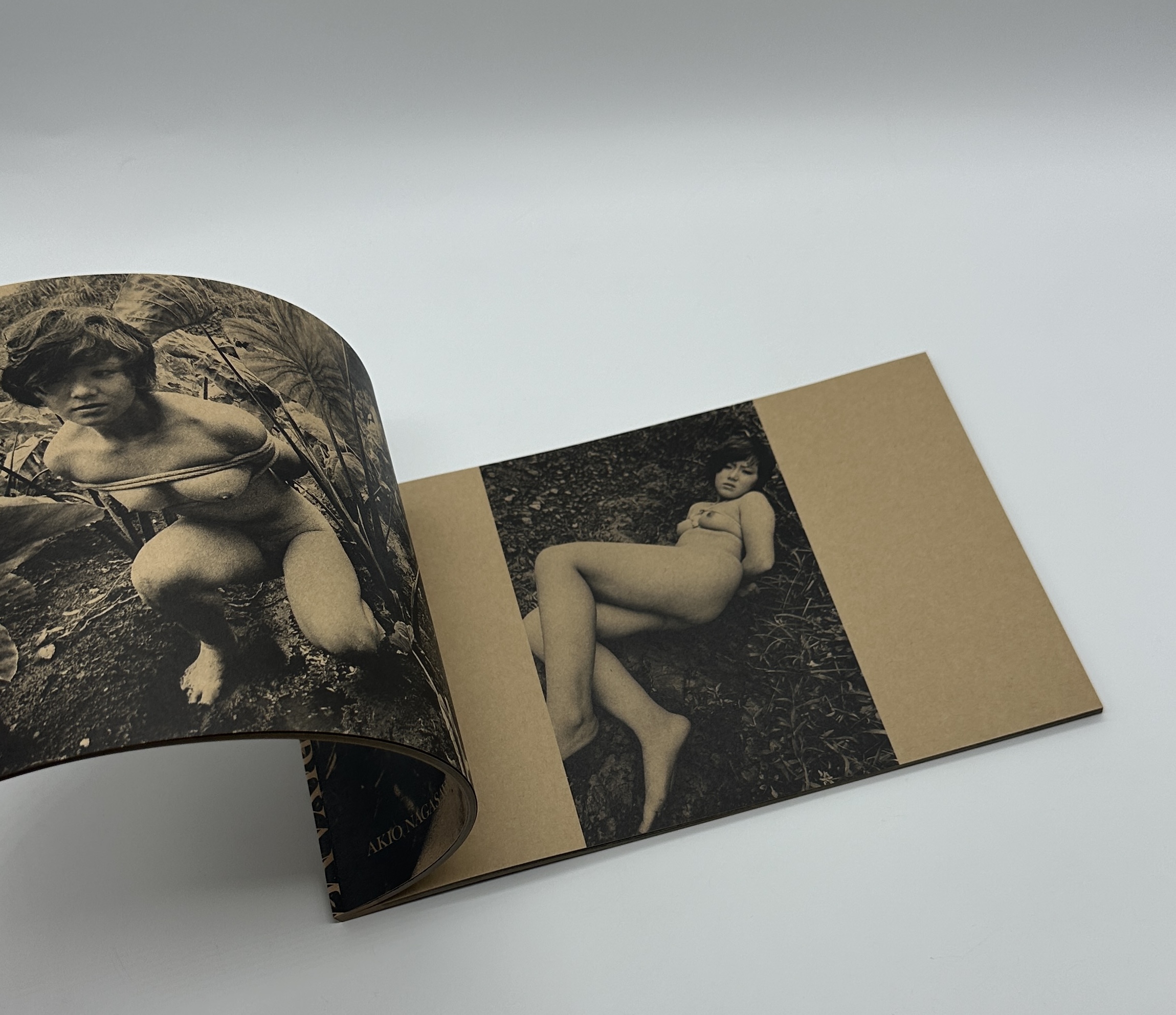 「署名入」MAYFLY　蜉蝣 - 画像 (9)