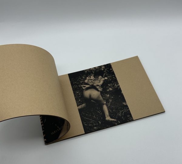 「署名入」MAYFLY　蜉蝣