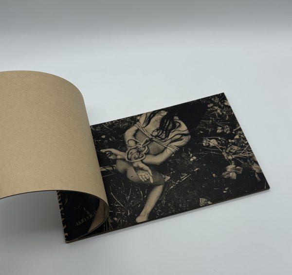 「署名入」MAYFLY　蜉蝣