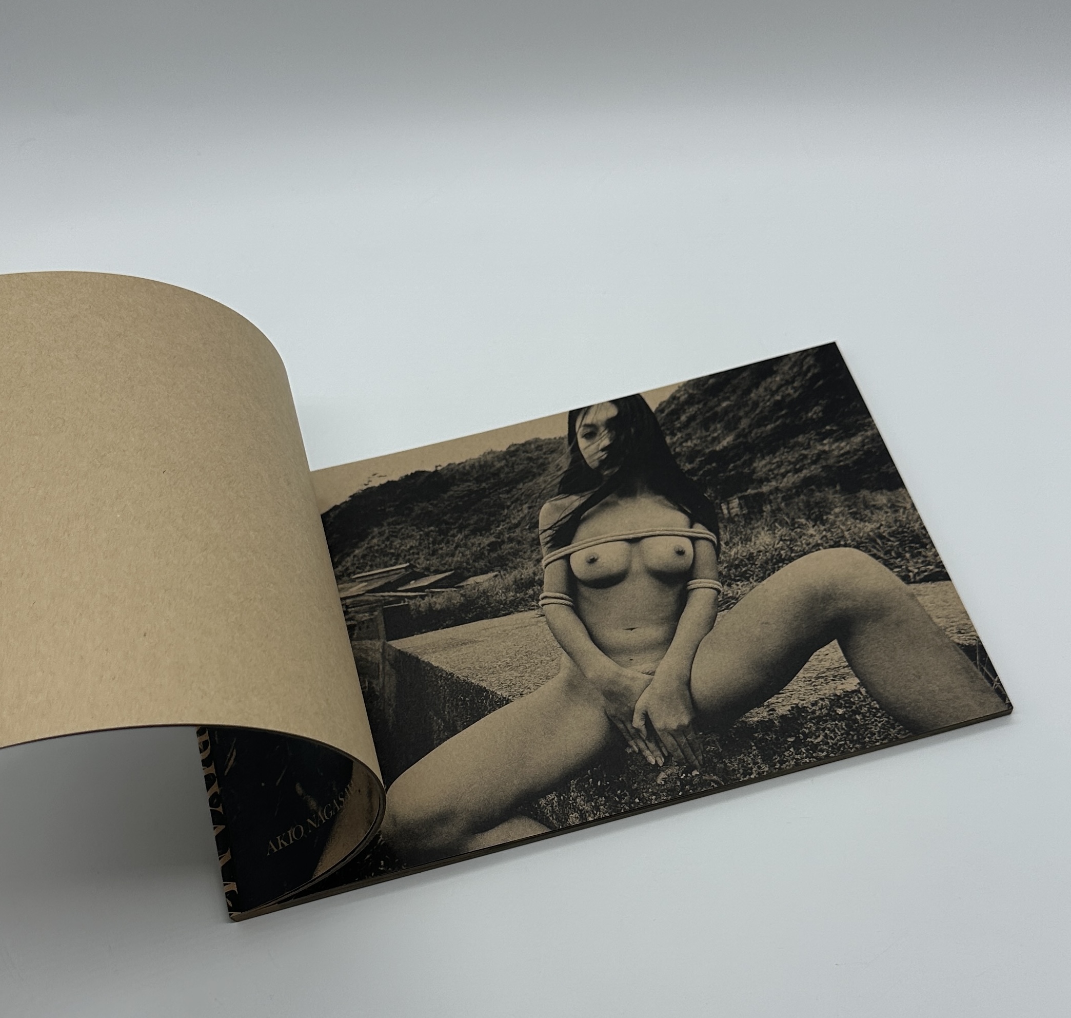 「署名入」MAYFLY　蜉蝣 - 画像 (6)