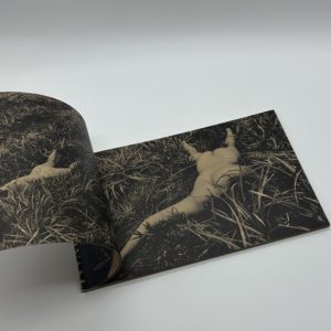 「署名入」MAYFLY　蜉蝣 - 画像 (4)