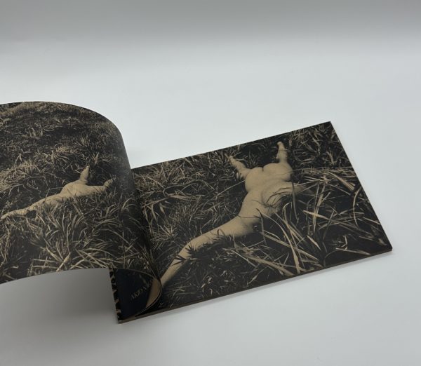 「署名入」MAYFLY　蜉蝣