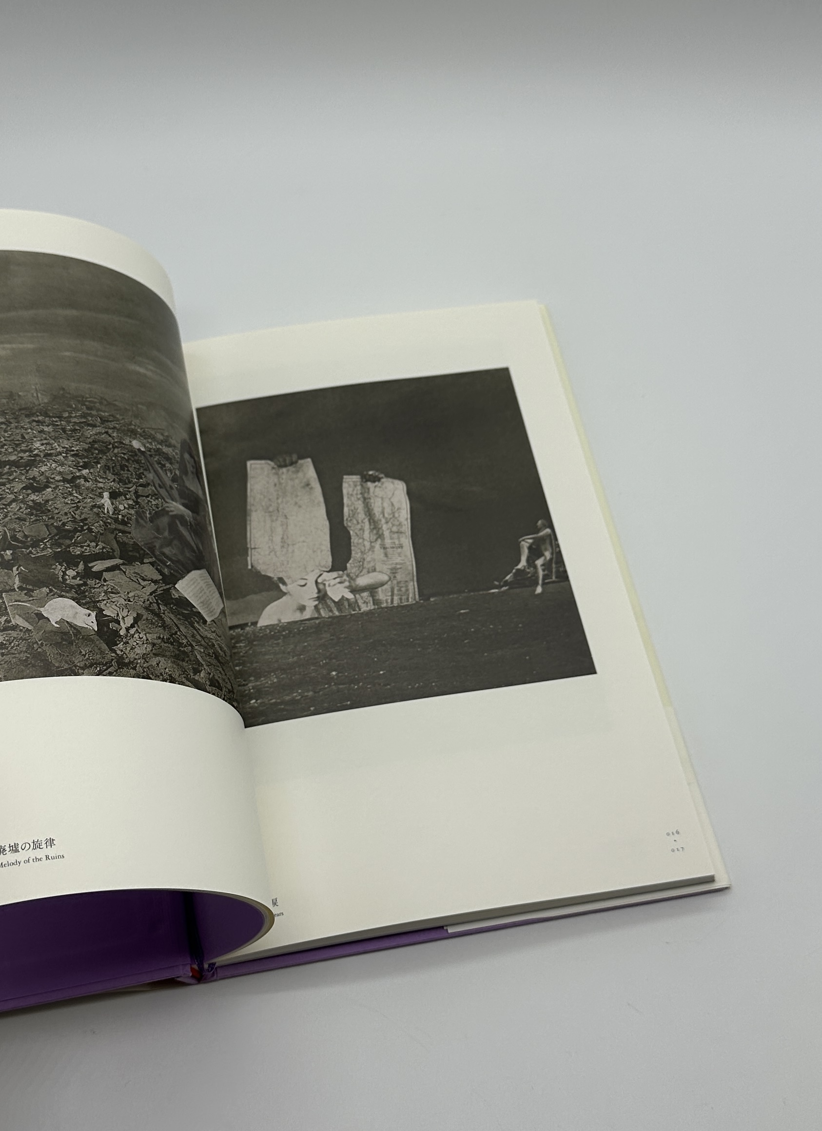 はるかな旅 - 画像 (4)