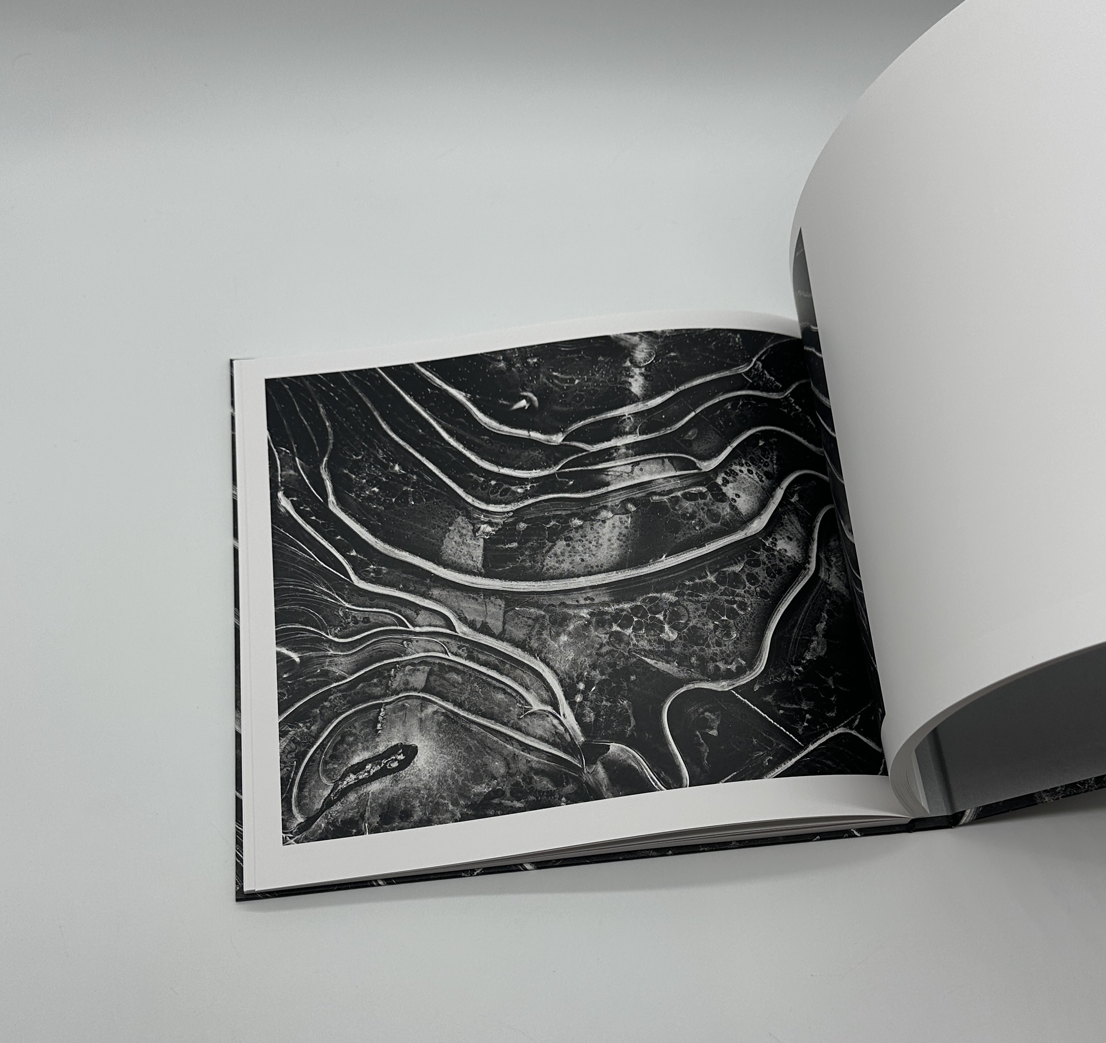 「署名入」生きている大地 - 画像 (6)