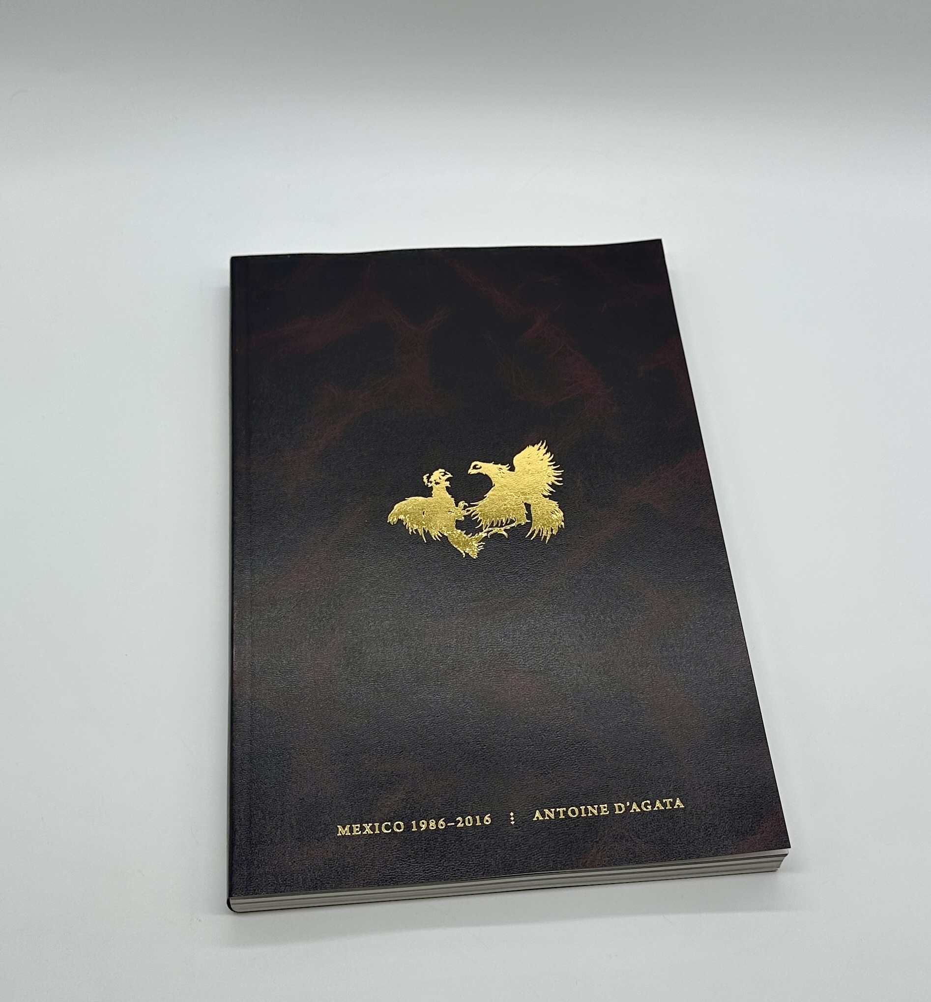 CODEX MEXICO 1986-2016 - 画像 (1)