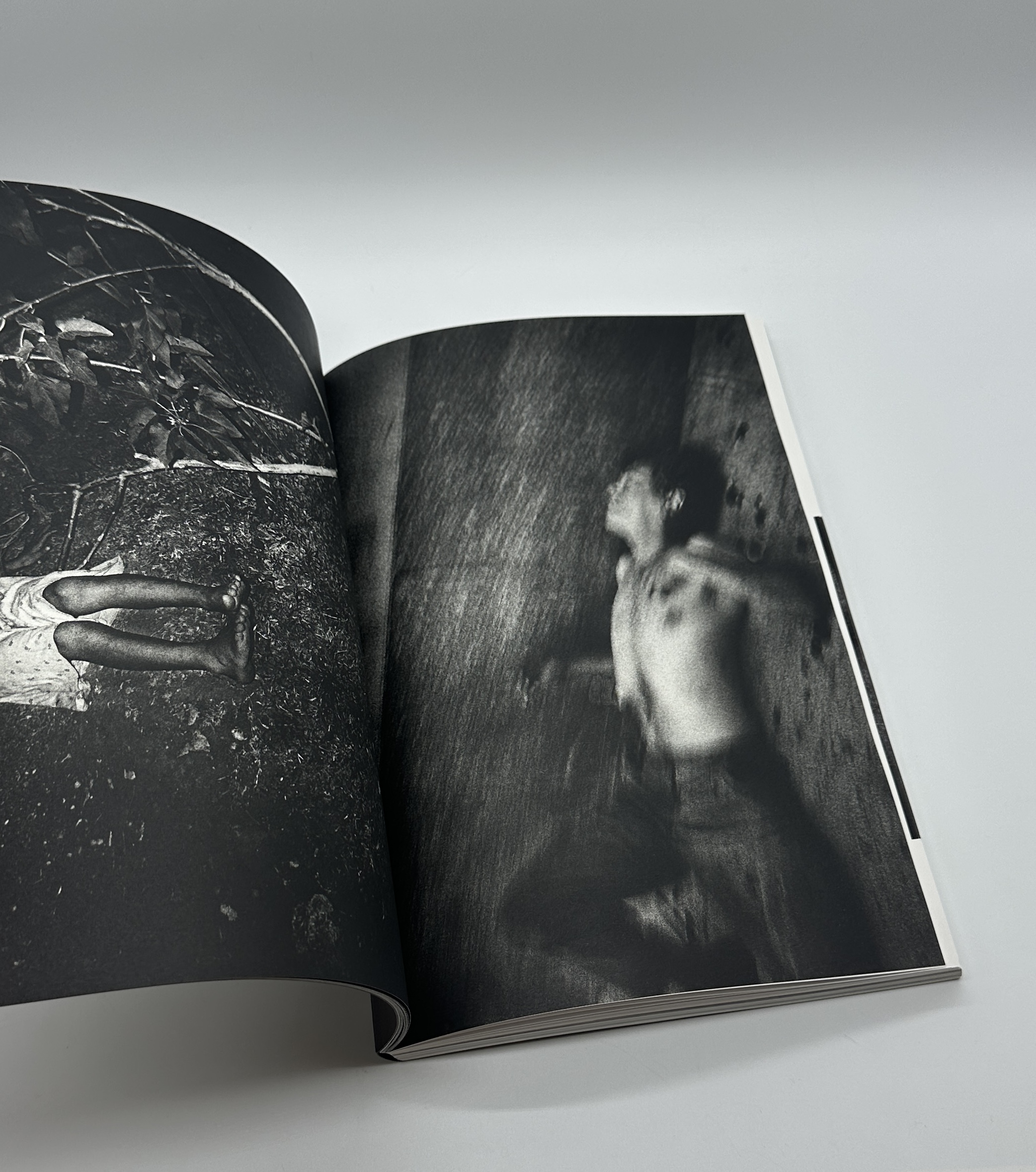 CODEX MEXICO 1986-2016 - 画像 (3)