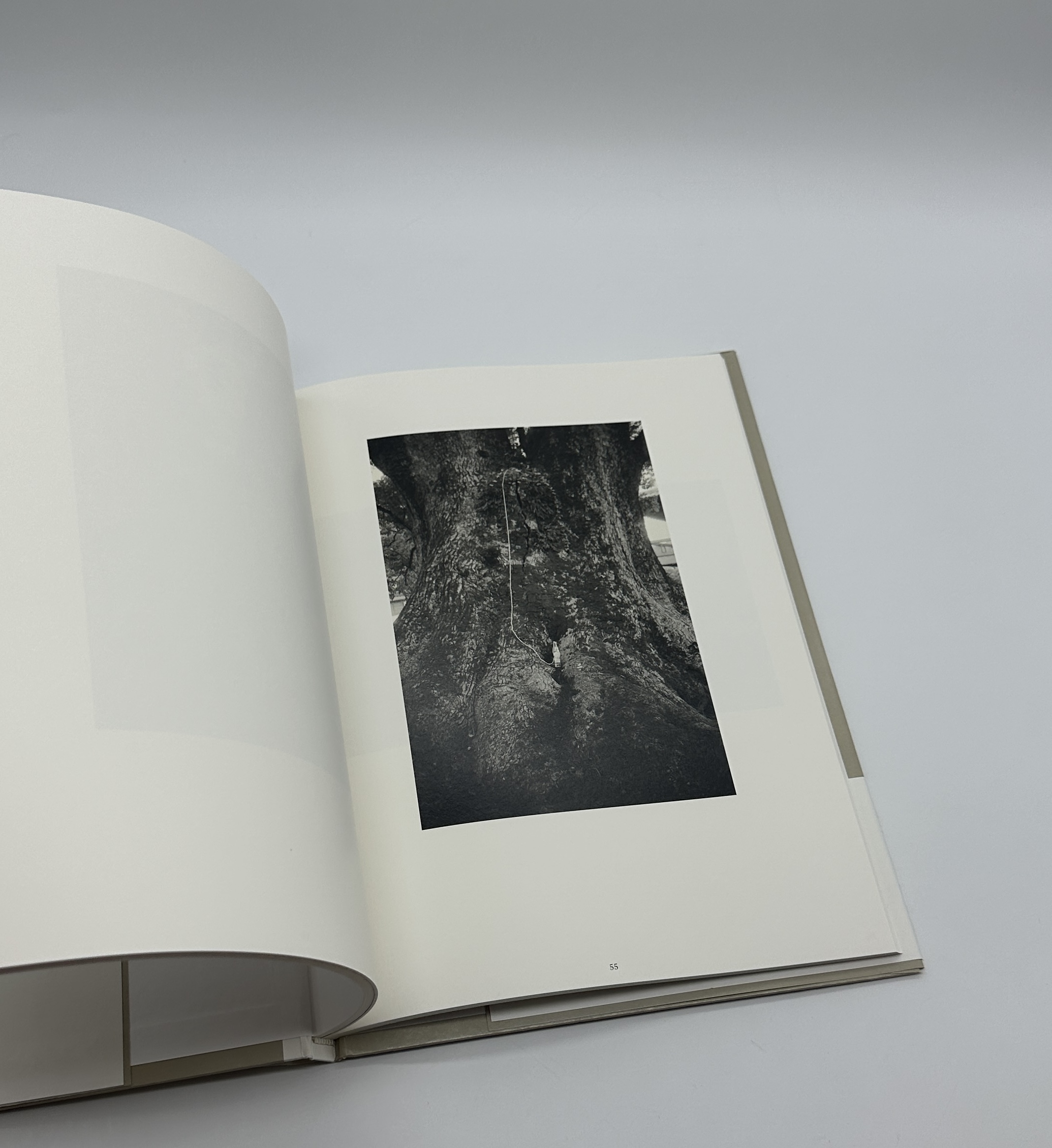 ヒモとコーラ　String and Coke - 画像 (7)