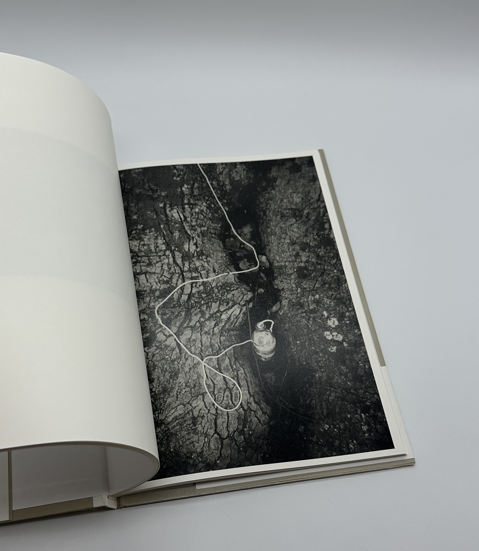 ヒモとコーラ　String and Coke - 画像 (6)