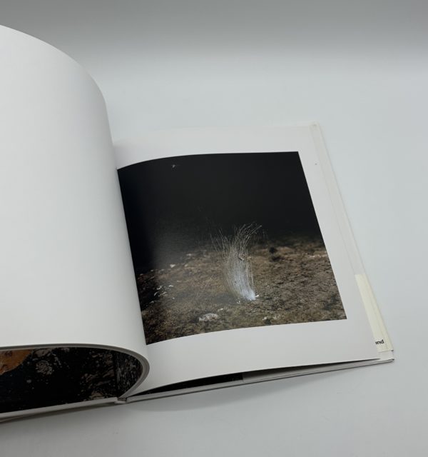 アンダーグラウンド