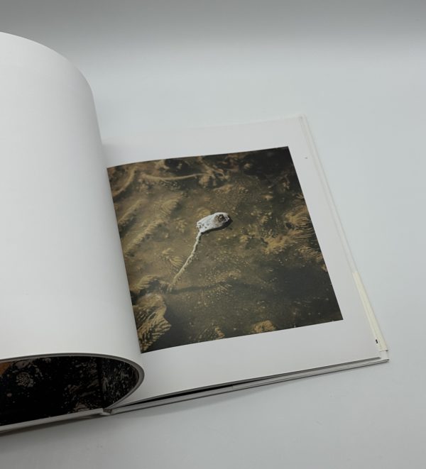 アンダーグラウンド