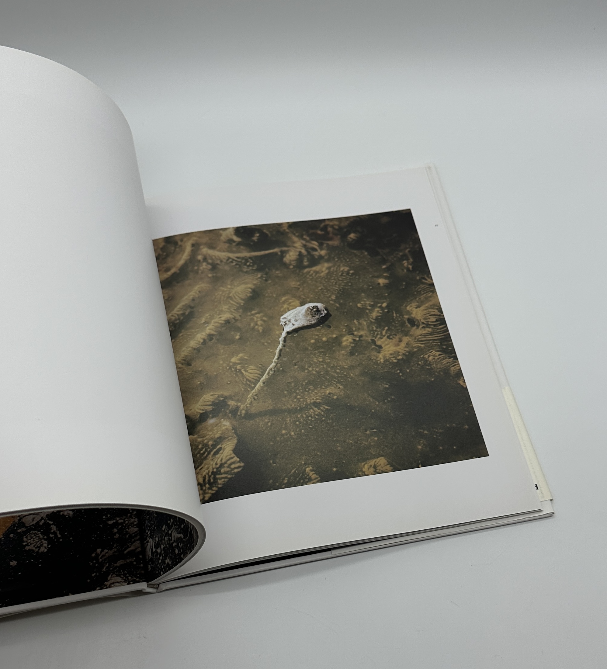 アンダーグラウンド - 画像 (5)