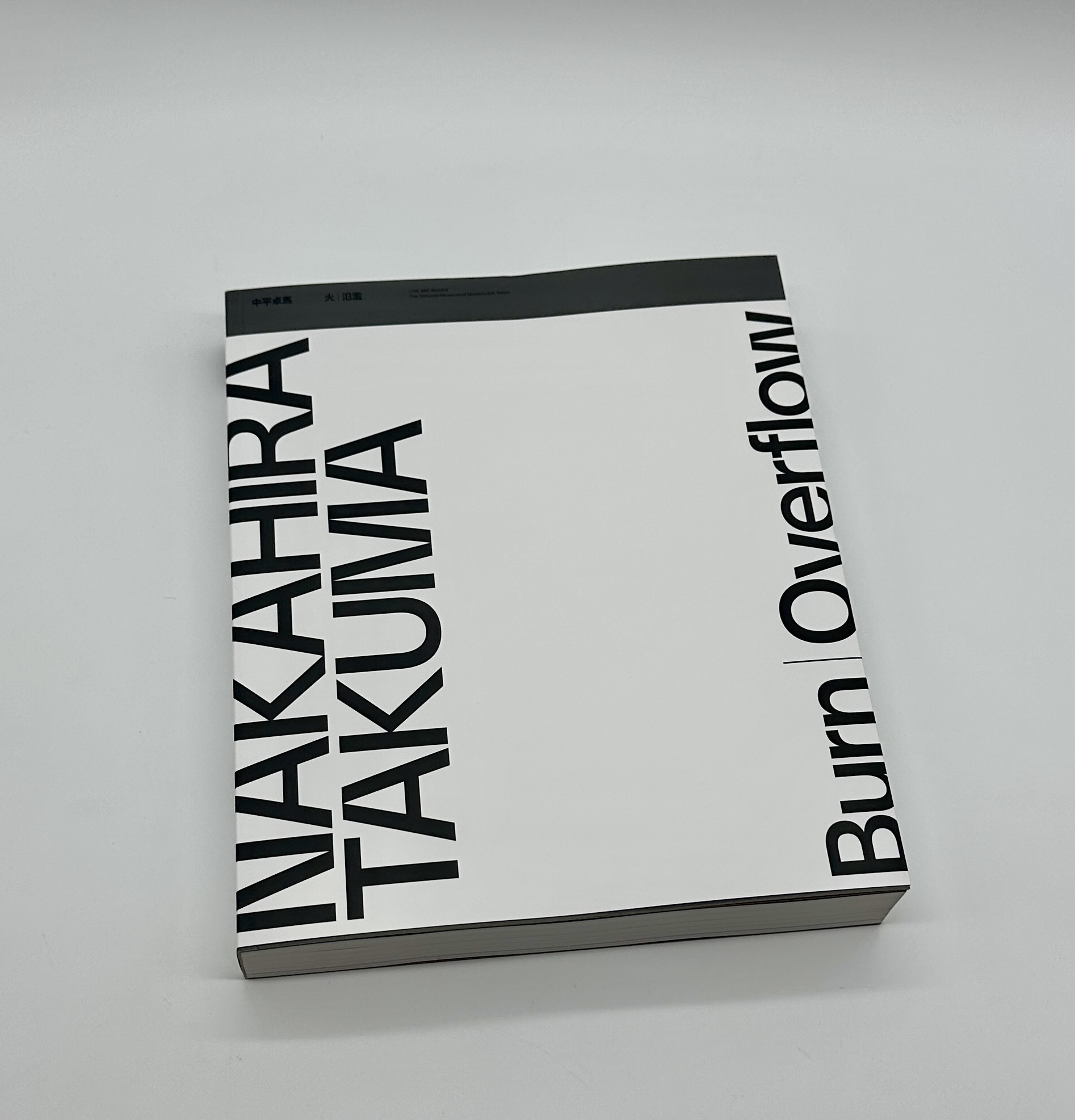 火　氾濫 - 画像 (1)