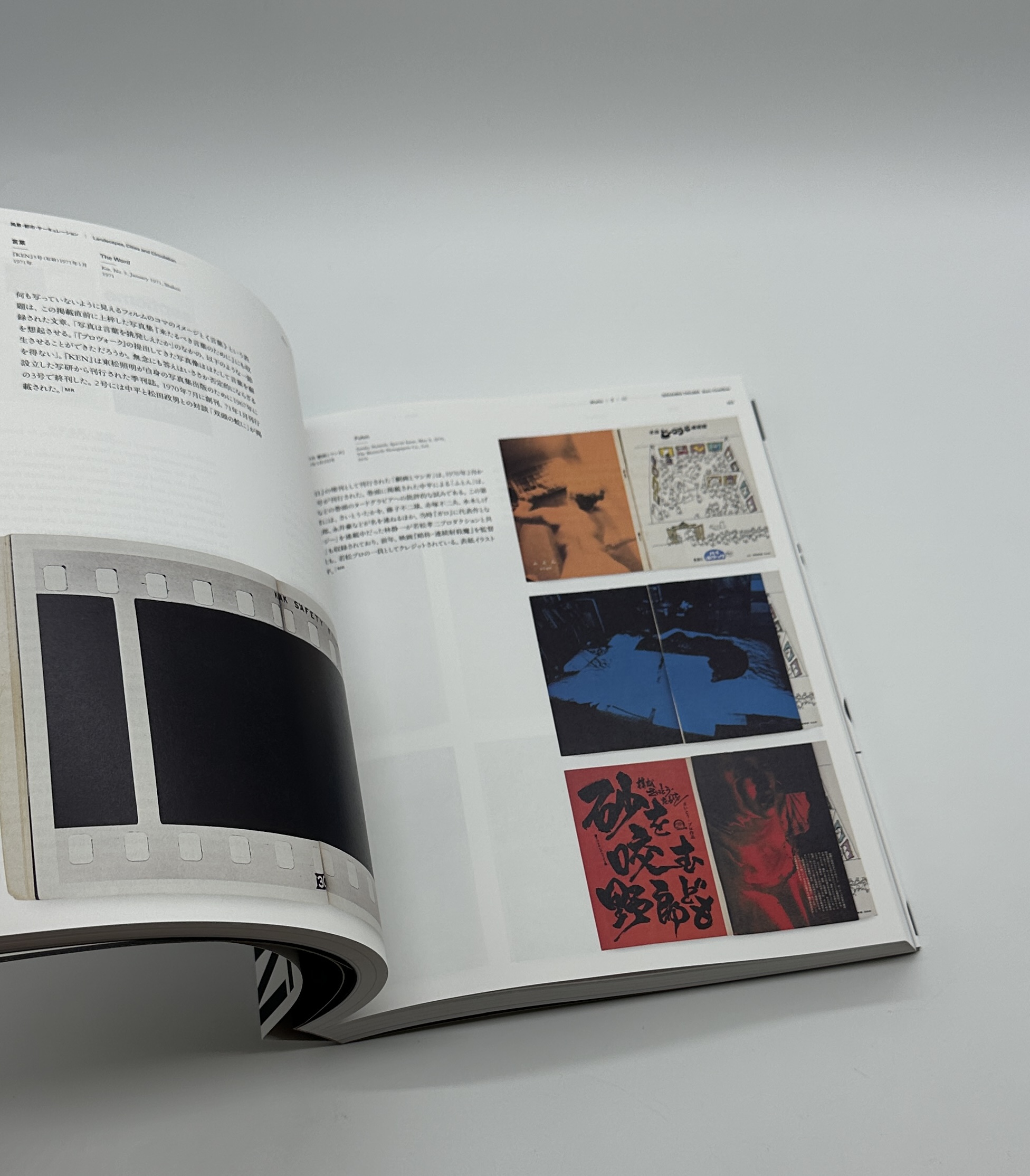 火　氾濫 - 画像 (6)