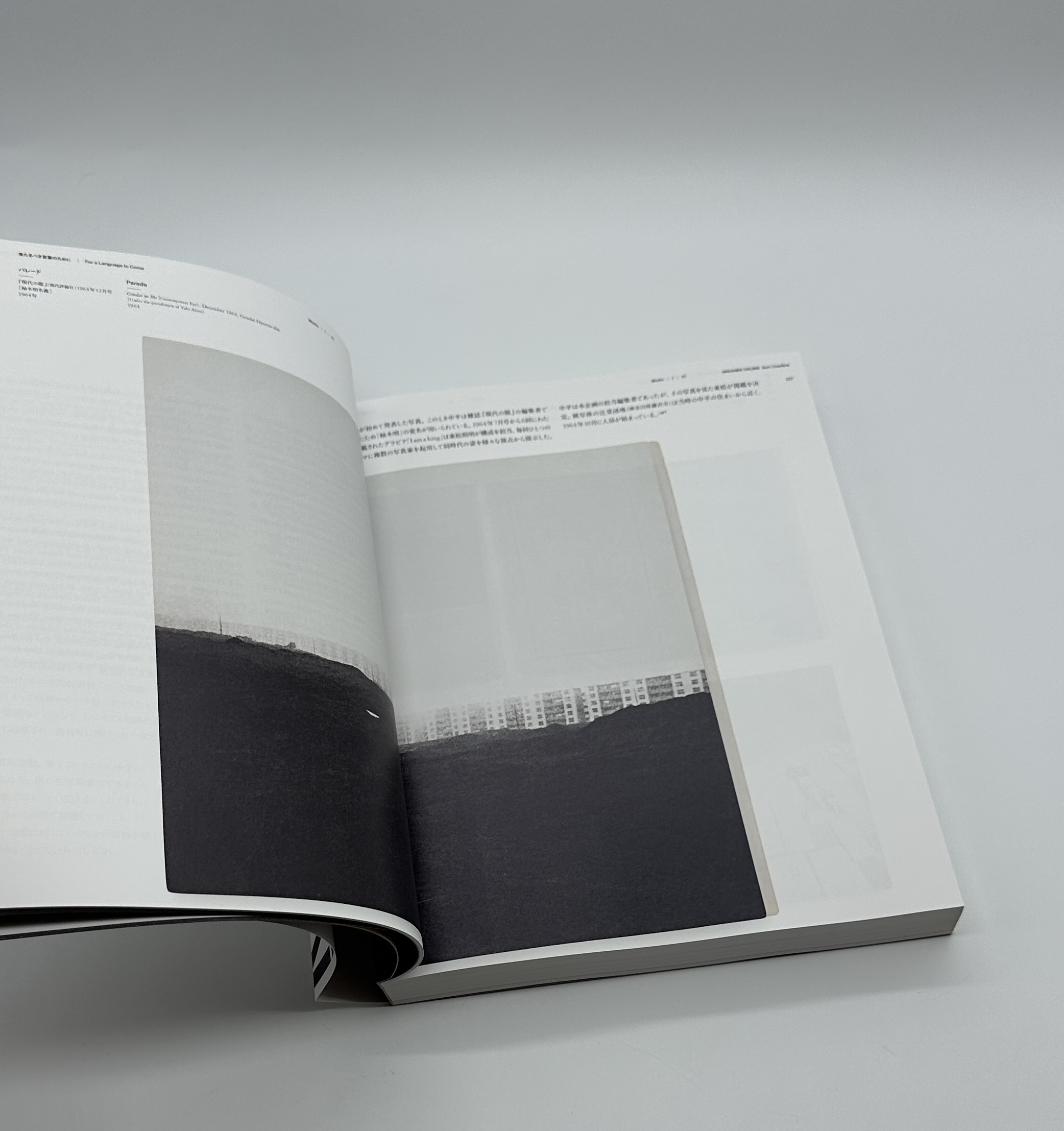 火　氾濫 - 画像 (2)