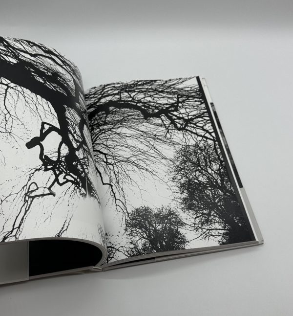 ヨーロッパ・静止した時間