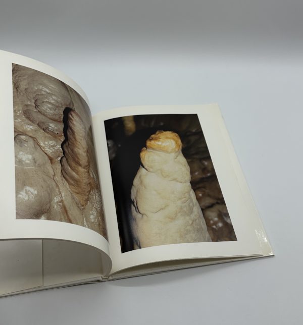 Zwei Schauferle mit Klob und eine Kinderportion Schnitzel mit Pommes Frites