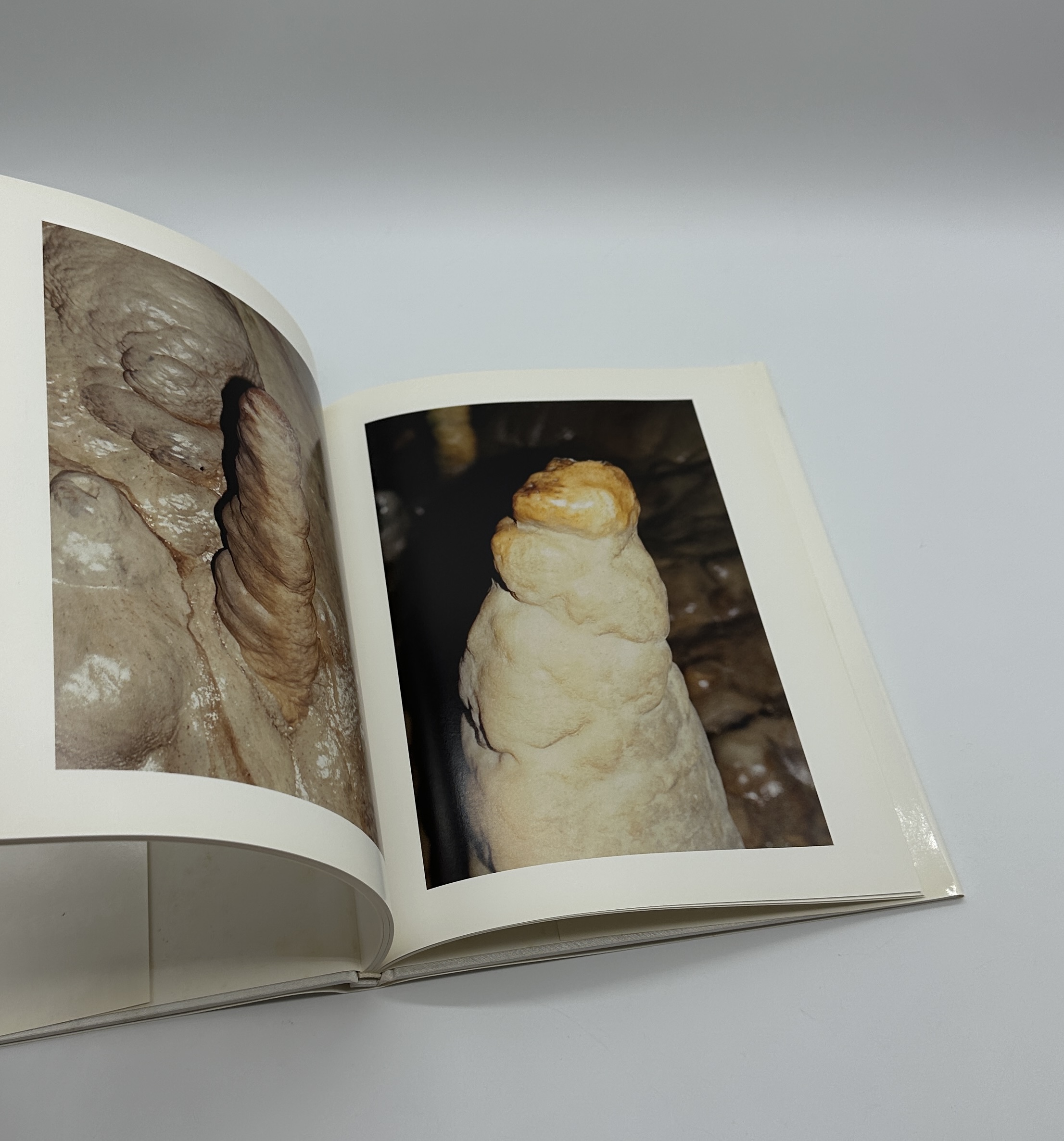 Zwei Schauferle mit Klob und eine Kinderportion Schnitzel mit Pommes Frites - 画像 (8)