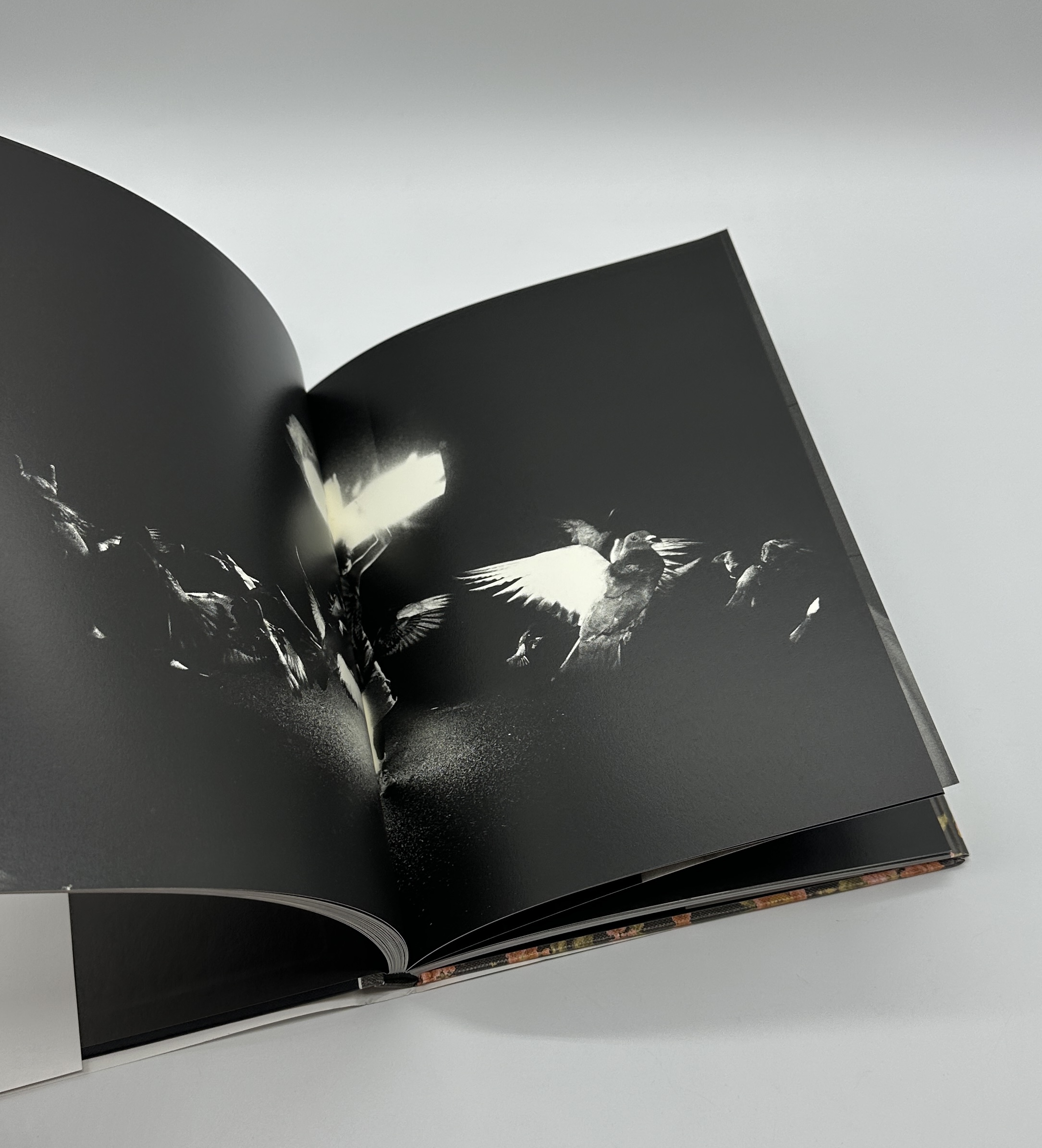 MACARONI CHRISTIAN - 画像 (6)