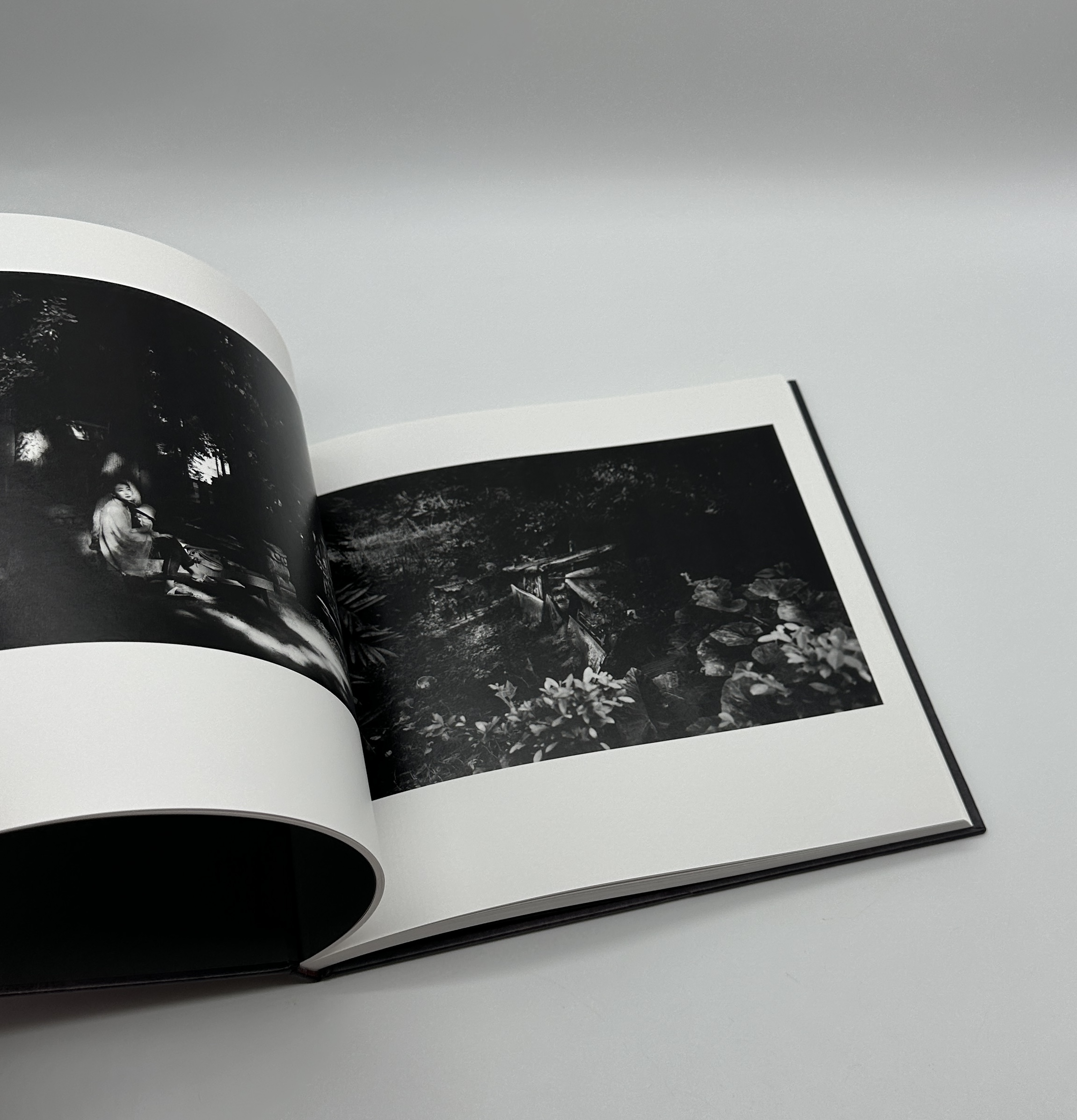 「署名入」蛞蝓草紙 - 画像 (5)