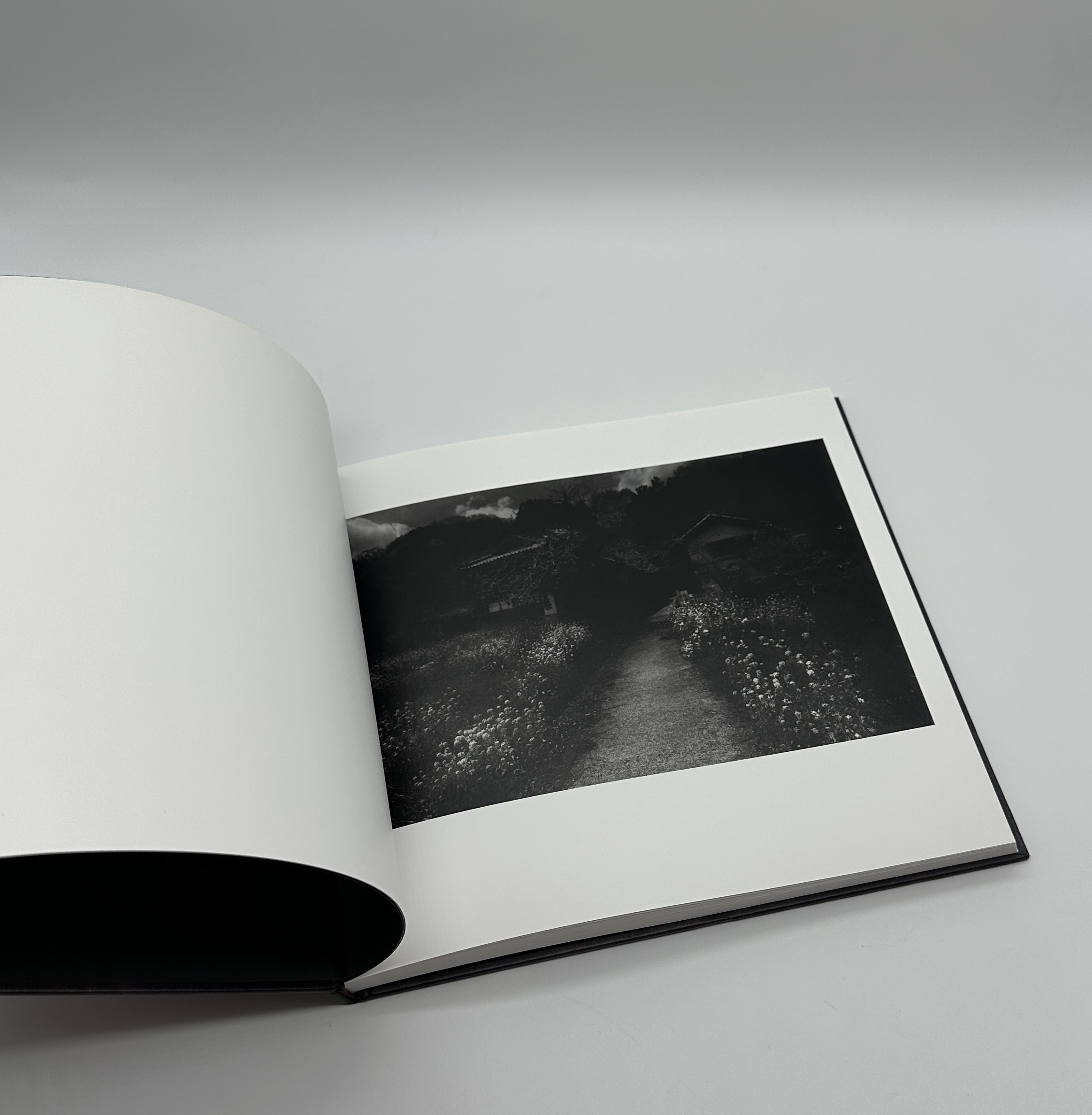 「署名入」蛞蝓草紙 - 画像 (2)