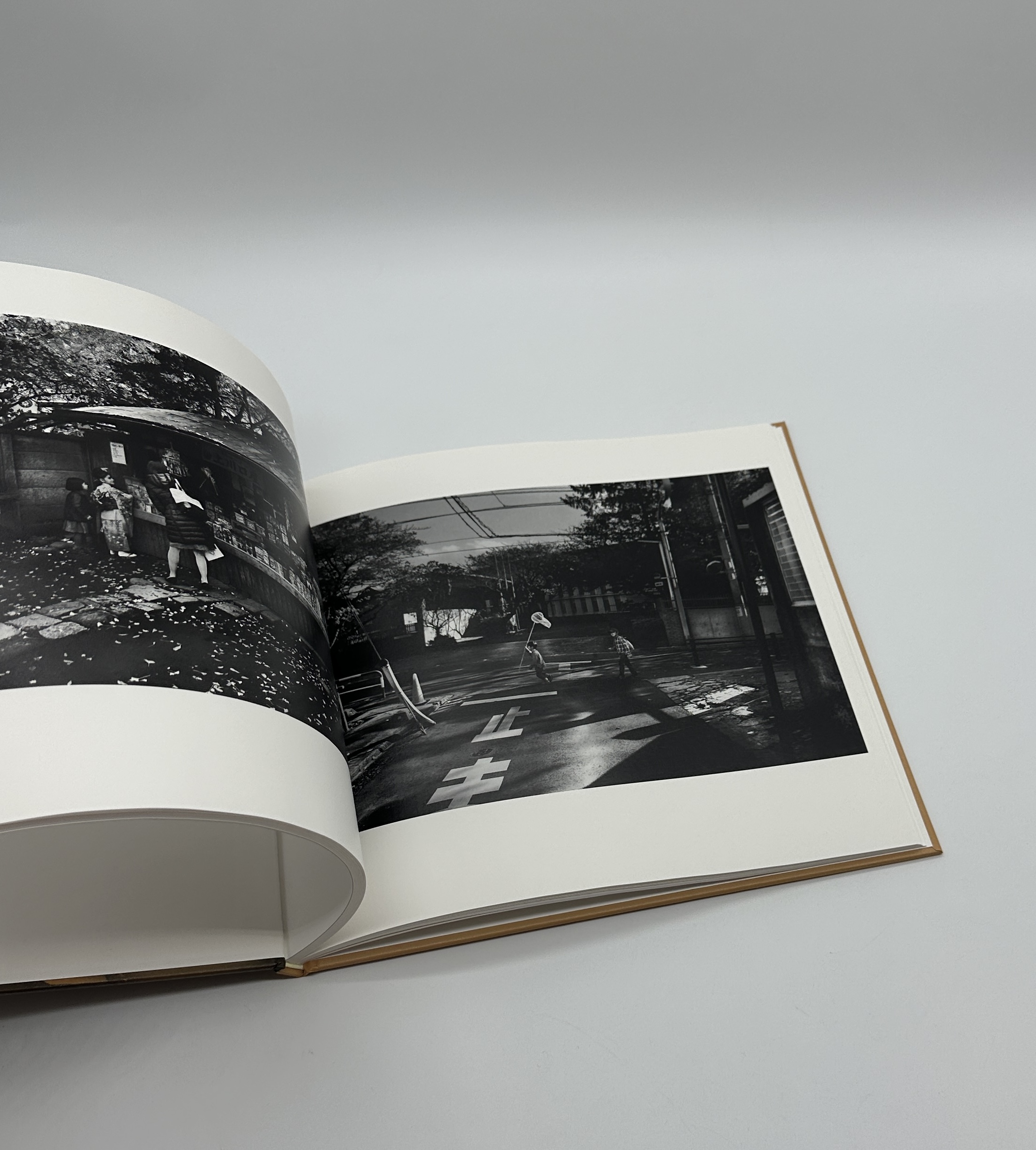 蛞蝓草紙外伝 - 画像 (7)