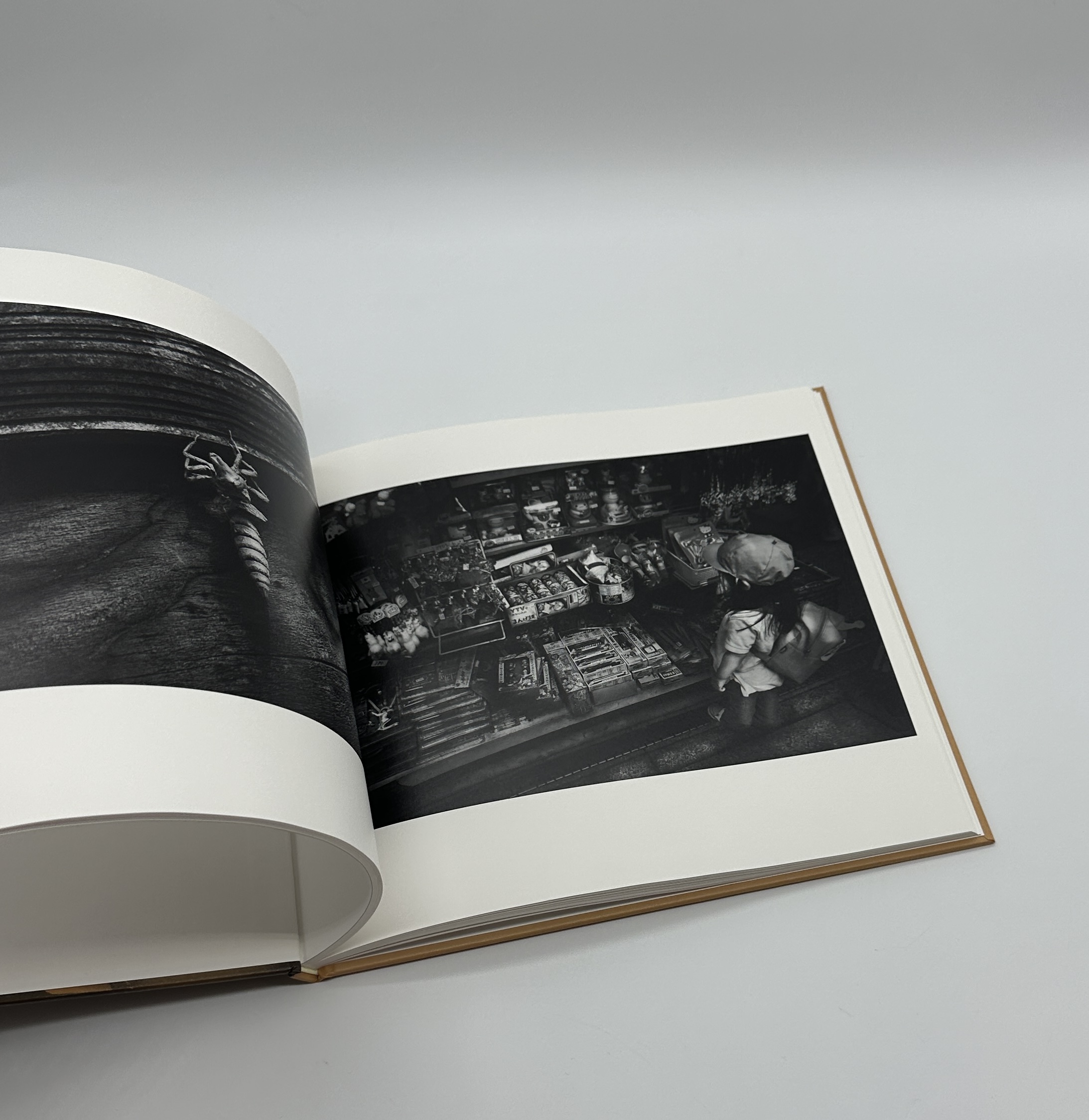 蛞蝓草紙外伝 - 画像 (6)