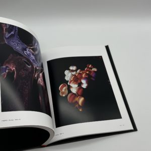 Hisae Imai - 画像 (9)