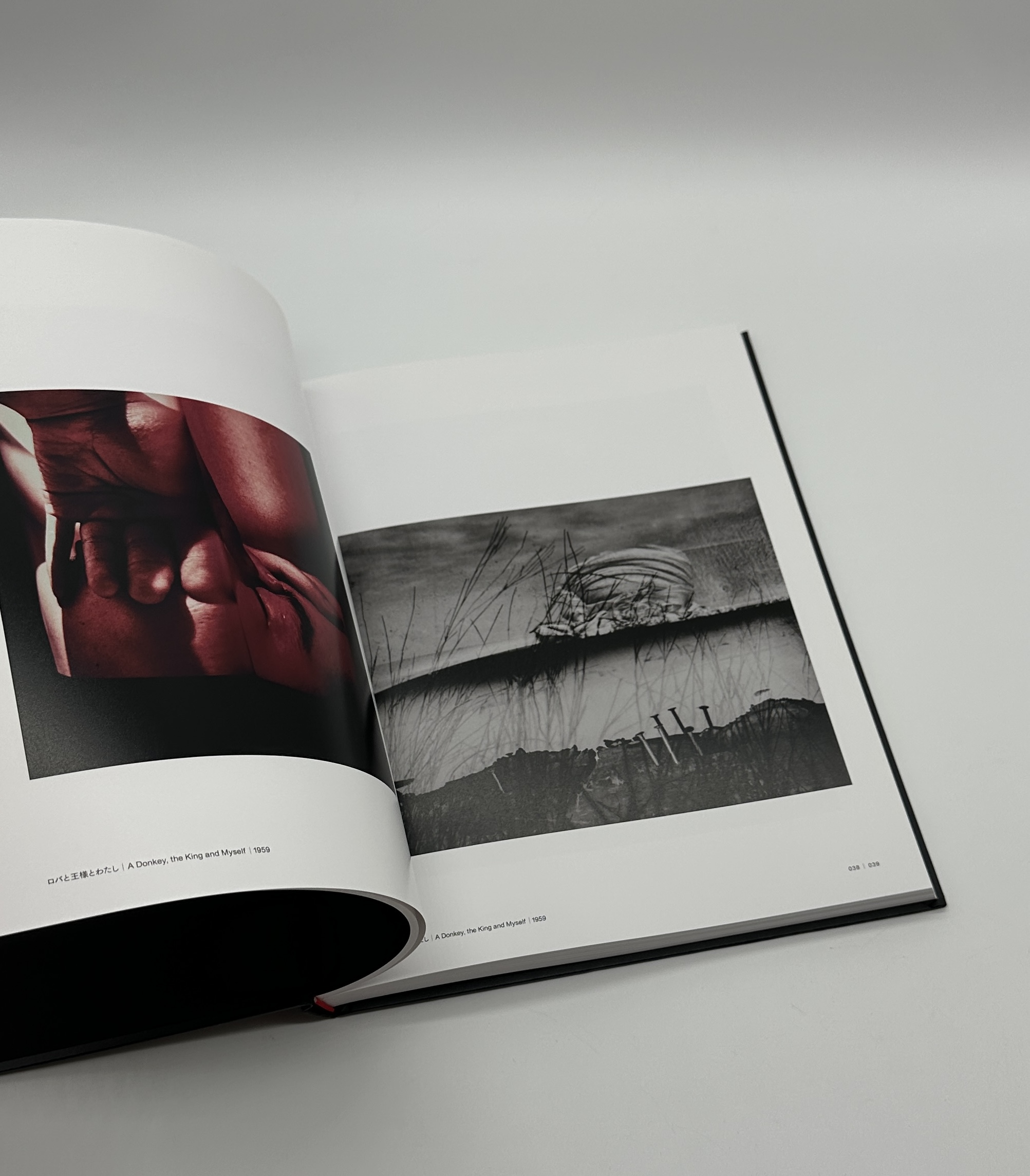 Hisae Imai - 画像 (4)