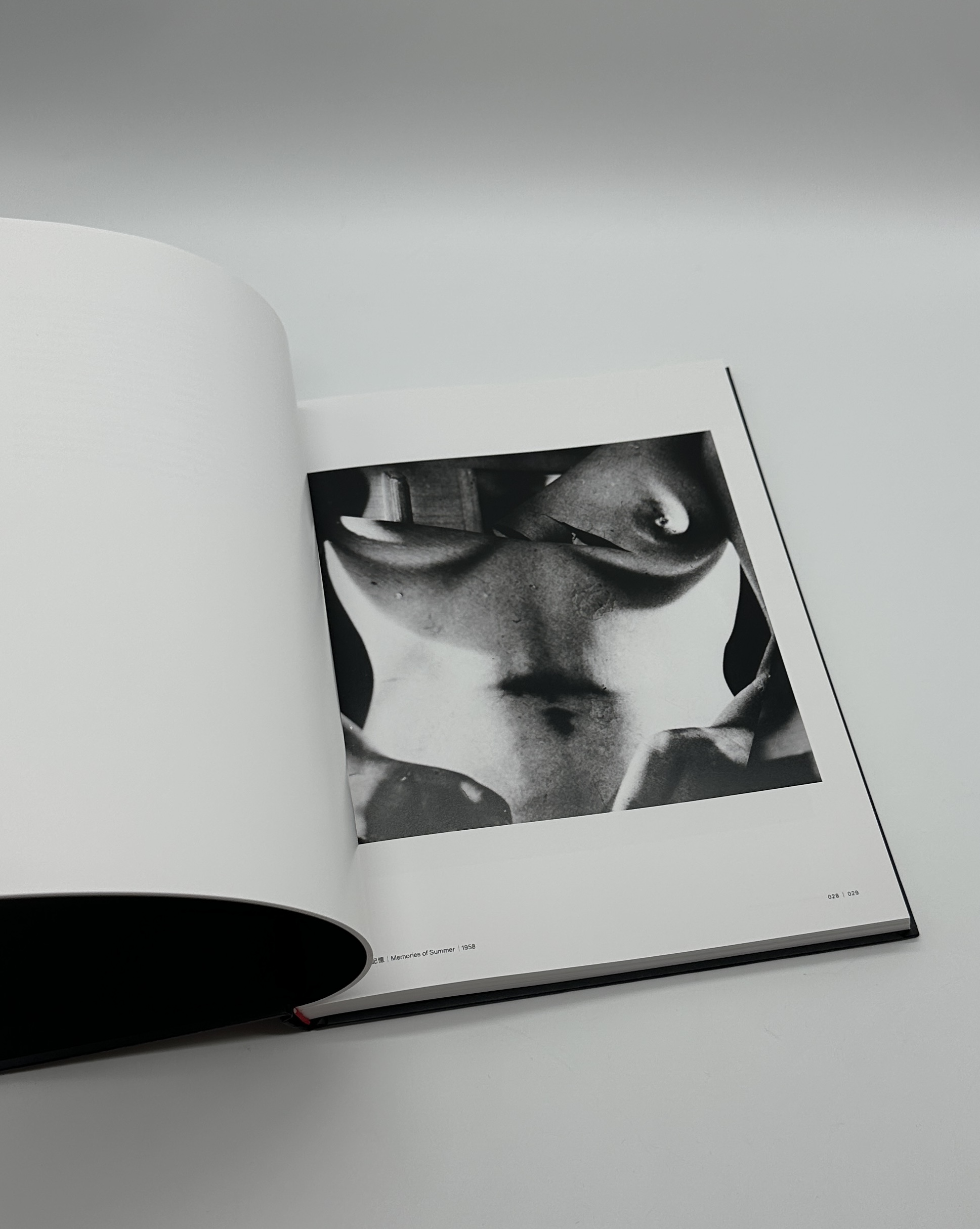 Hisae Imai - 画像 (3)