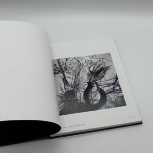 Hisae Imai - 画像 (2)