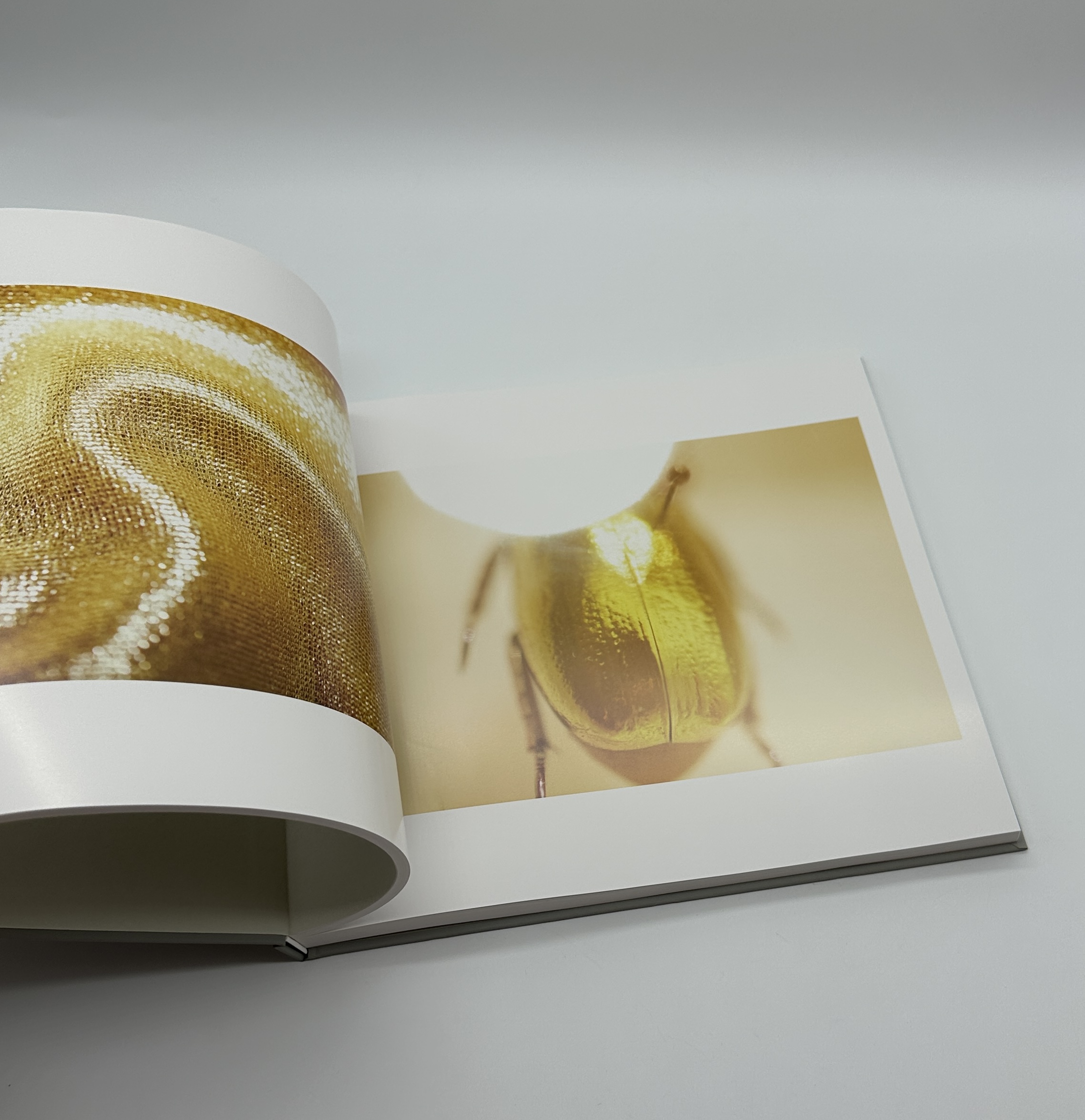 はじめてあった - 画像 (4)