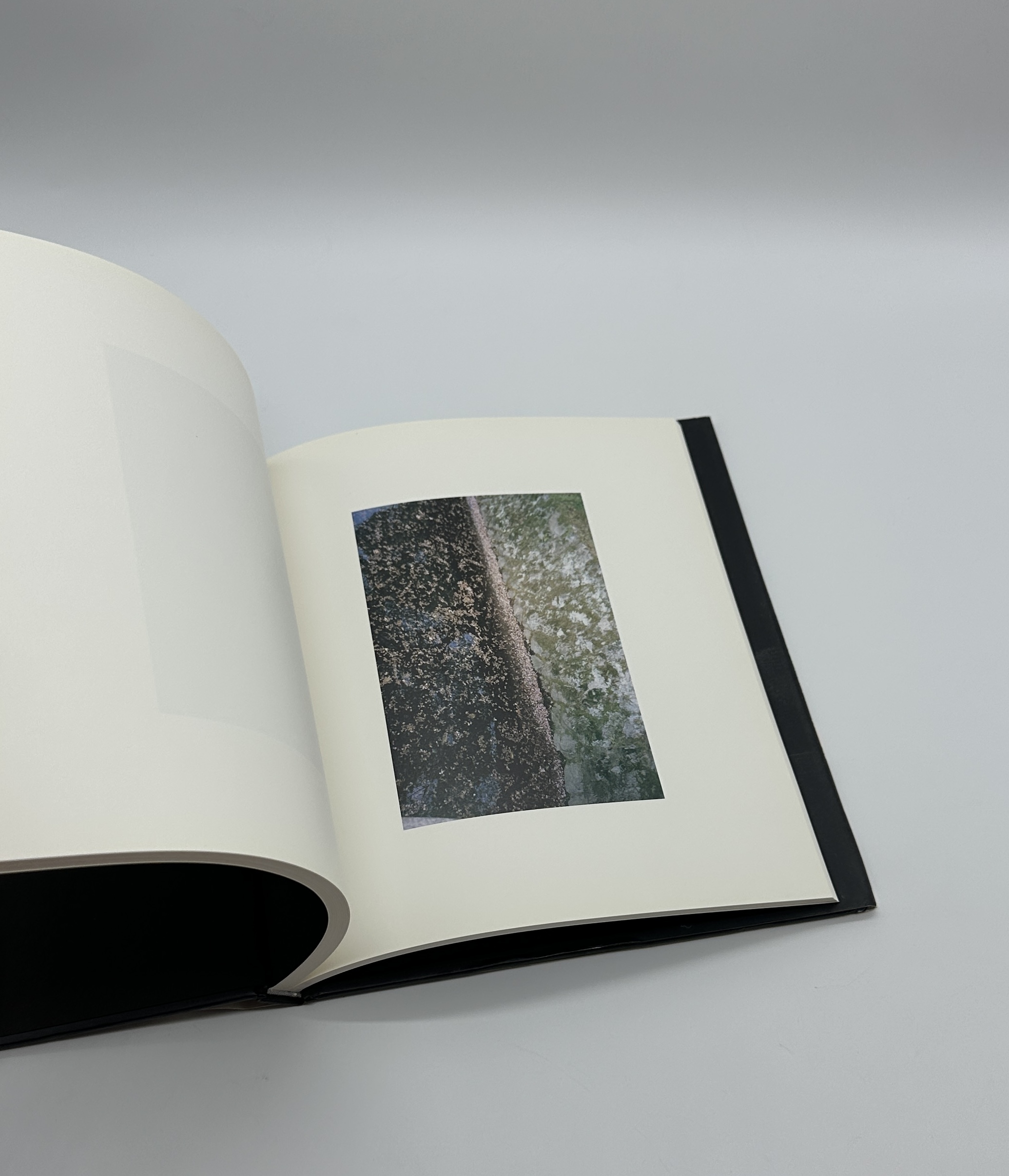 Abstract Reality - 画像 (10)