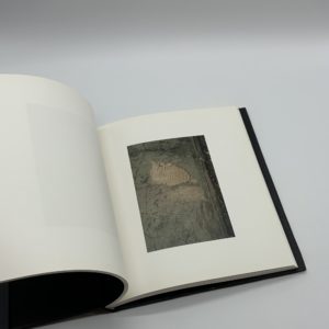 Abstract Reality - 画像 (6)