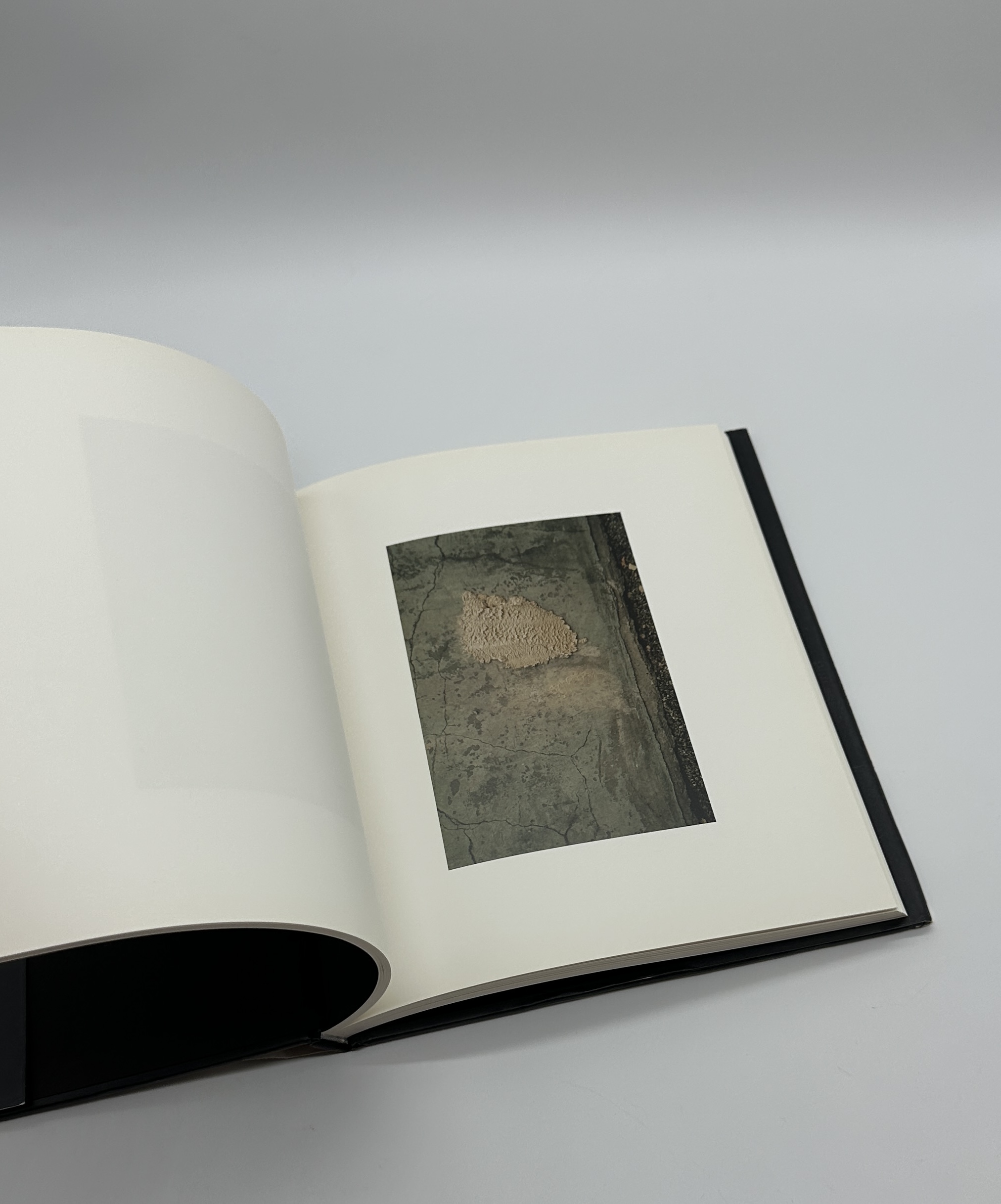 Abstract Reality - 画像 (6)