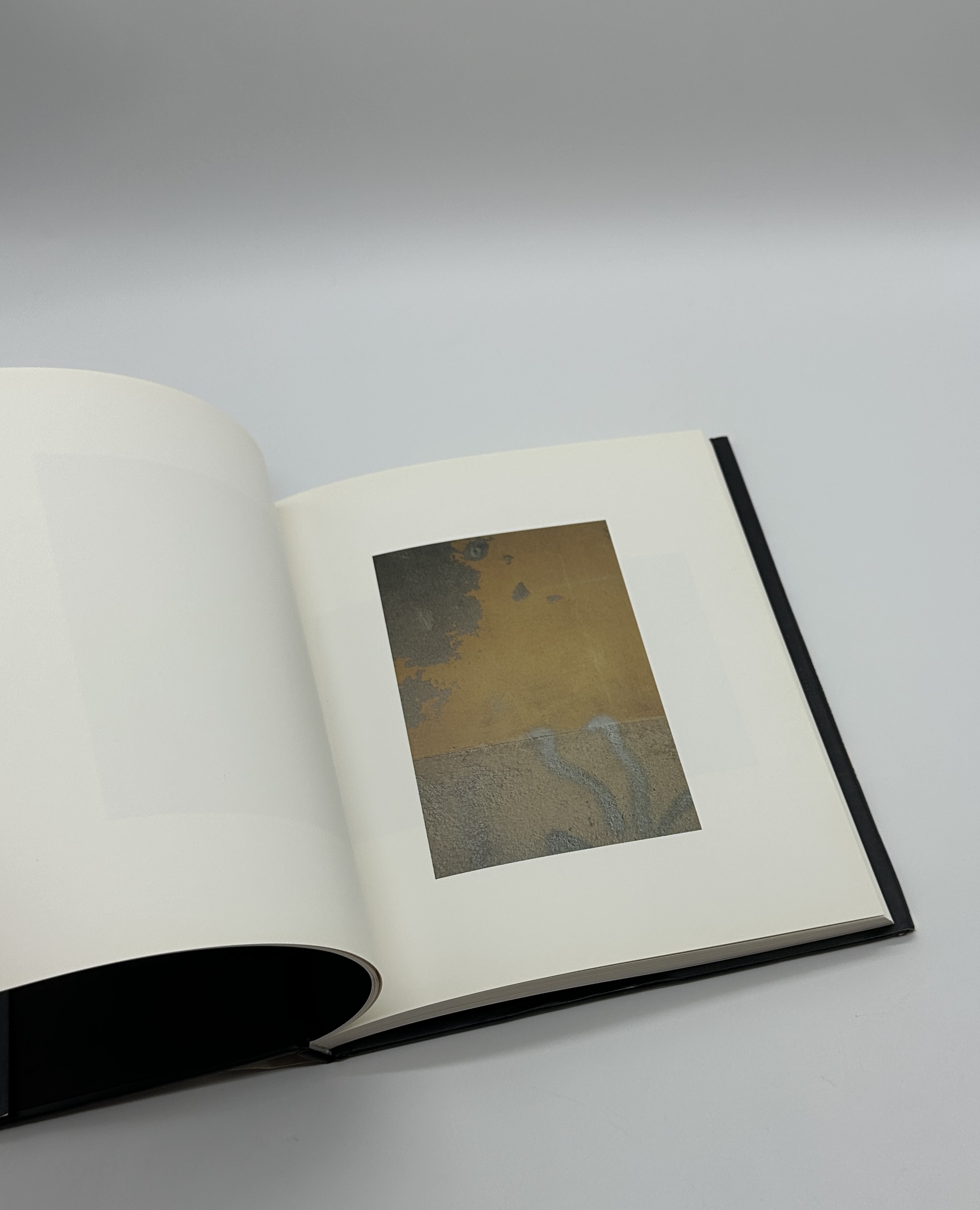 Abstract Reality - 画像 (4)