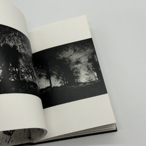 One Tree - 画像 (10)