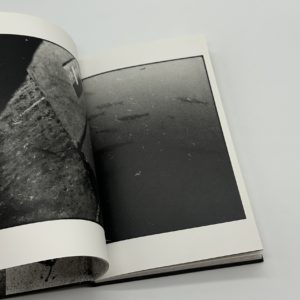 One Tree - 画像 (5)