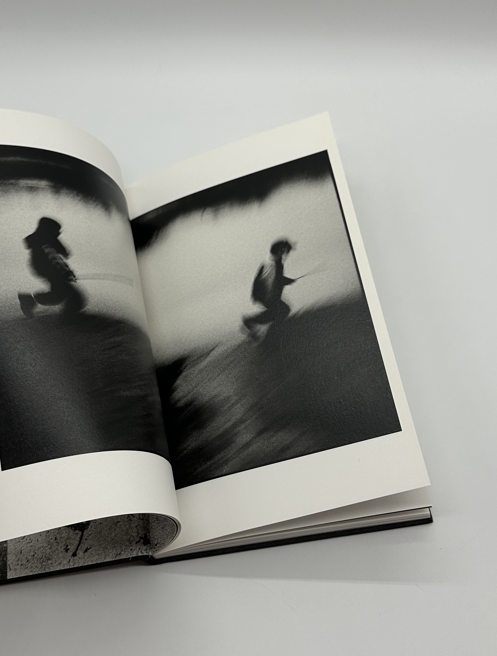 One Tree - 画像 (4)