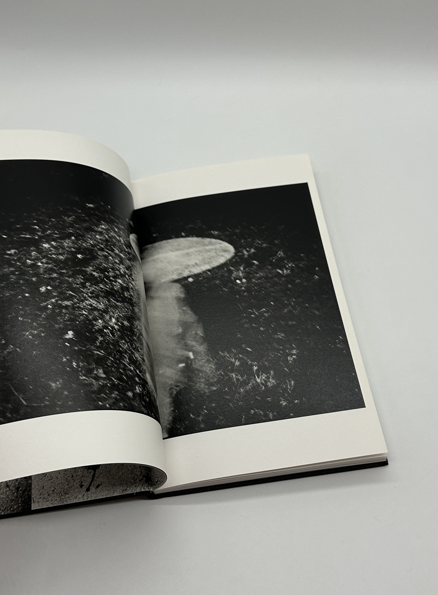 One Tree - 画像 (3)