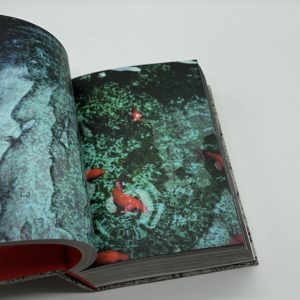 Vortex - 画像 (10)