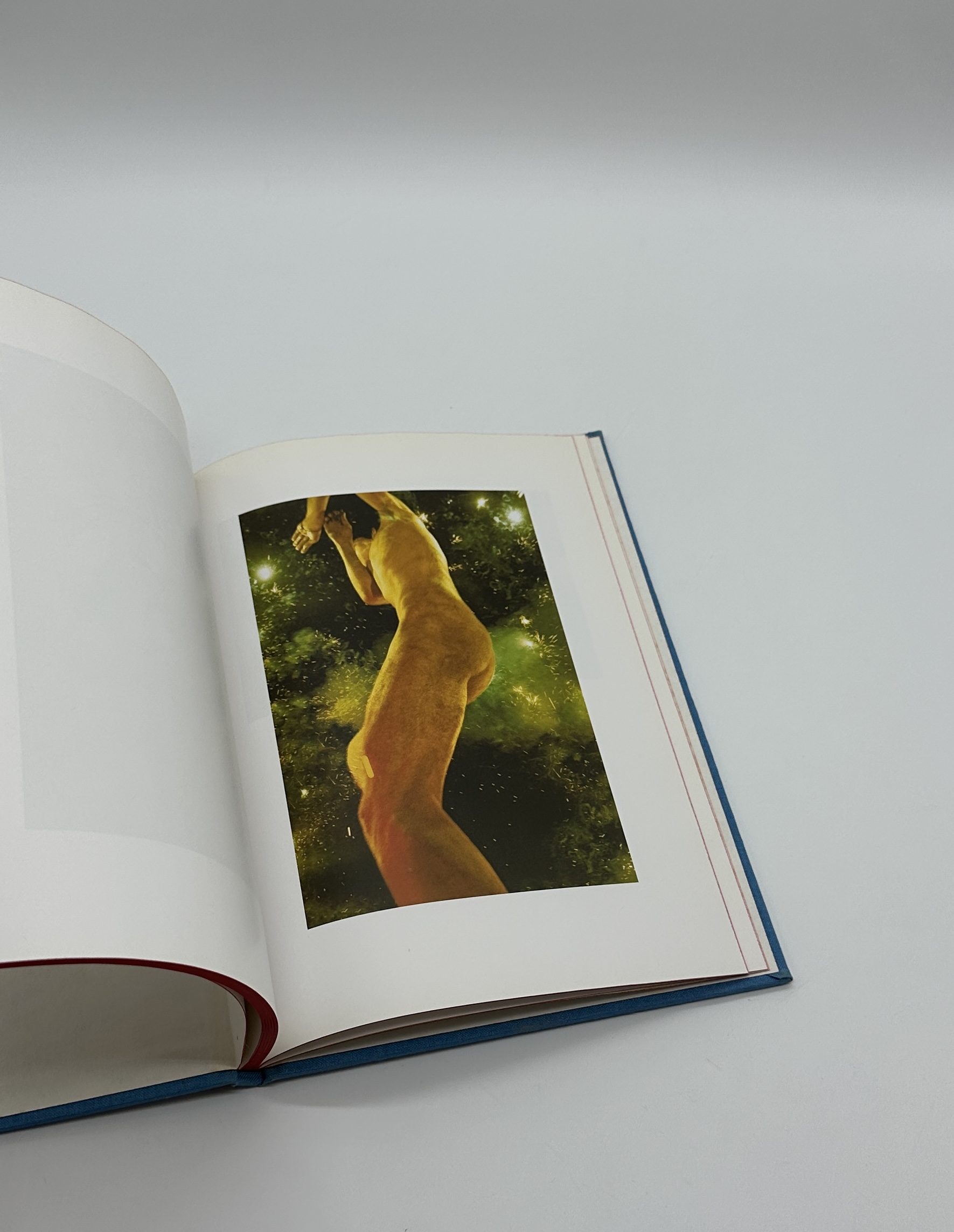 Life Adjustment Center - 画像 (10)