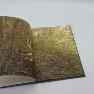 Life Adjustment Center - 画像 (3)