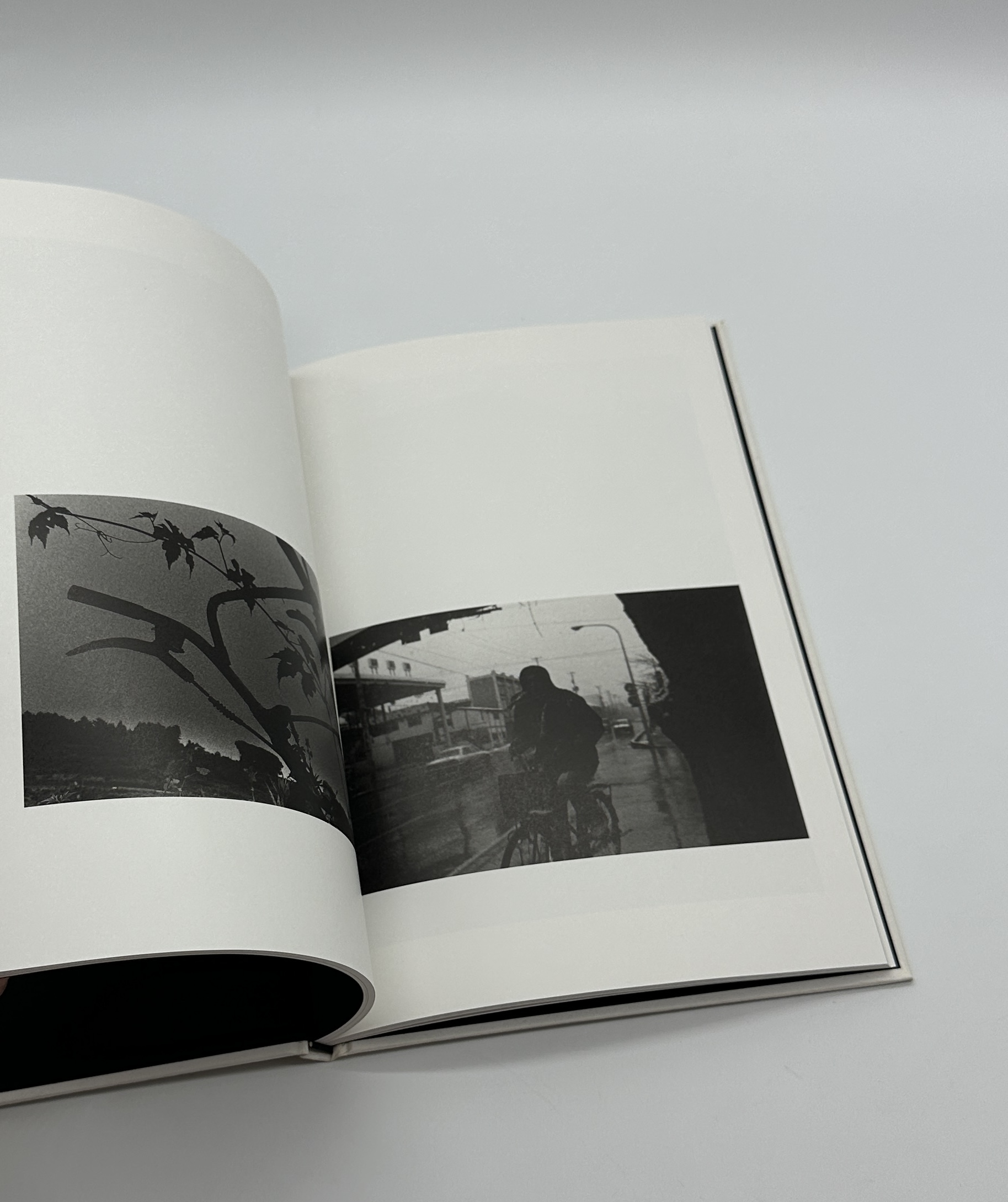 North Point - 画像 (10)