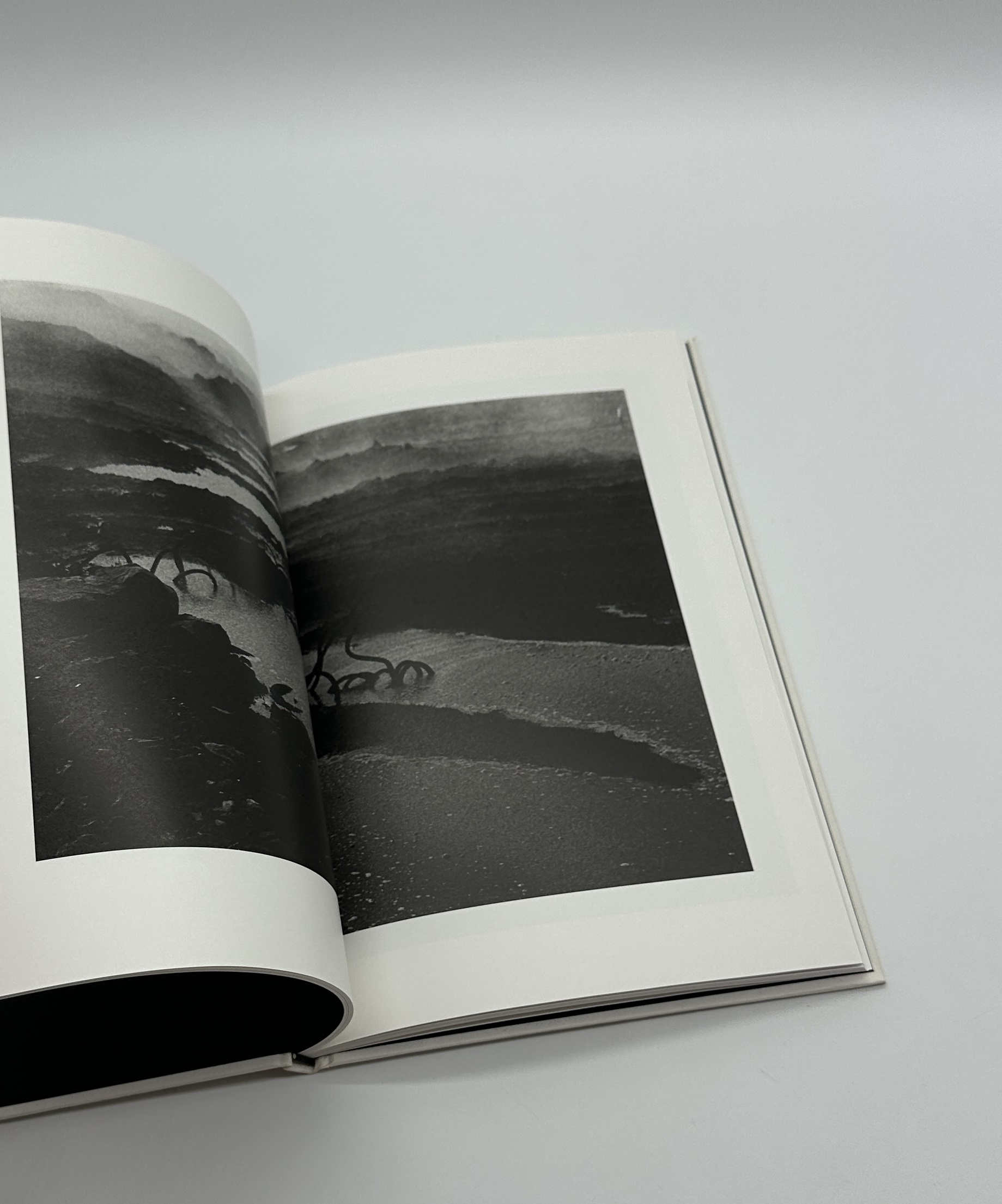 North Point - 画像 (9)