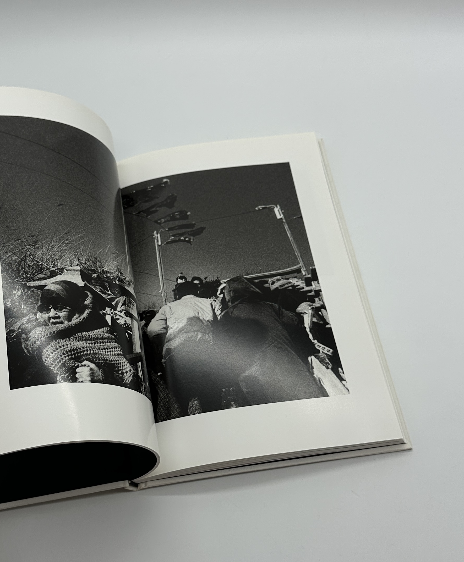 North Point - 画像 (7)